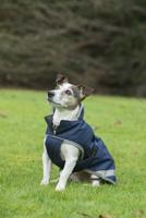 Bucas Freedom Dog Rug 50gram - thumbnail