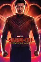 Poster Shang-Chi and the Legend of the Ten Rings Flex 61x91,5cm - thumbnail