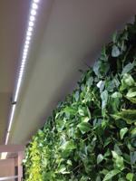 Linear langwerpige kweeklamp led wit 60 graden 40w 120 cm BTT & Parus - Btt - thumbnail