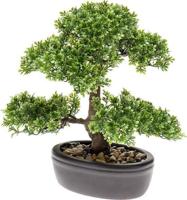 Emerald kunstplant mini bonsai ficus groen 32 cm 420002 - thumbnail