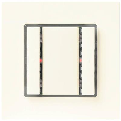 Siemens-KNX 5WG1221-2DB13 Toets