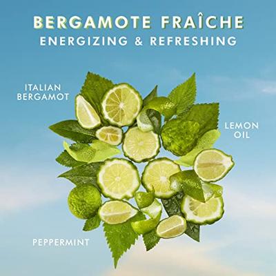 Moroccanoil Shower Gel Bergamote Fraîche 250ml