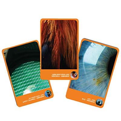 Gift Republic Wat is die foto