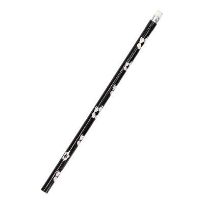 Duckiez Potlood voetbal