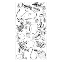 Sizzix • clear stamp set botanical fruit 19pcs - thumbnail