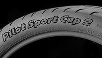 Michelin Pilot Sport Cup 2 265/35 R20 95Y MI2653520ZSPCUP2N0 - thumbnail