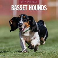 Basset Hound Kalender 2027 - thumbnail
