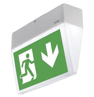 CEAG 40071354900 LED-vluchtwegverlichting Plafondopbouwmontage, Wandopbouwmontage Links, Rechts, Naar beneden