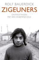 Zigeuners - Rolf Bauerdick - ebook - thumbnail