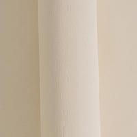 AS Creation Styleguide Trend Colours 2021 crème behang | 306896 - thumbnail