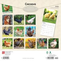 Kippen Kalender 2026 - thumbnail