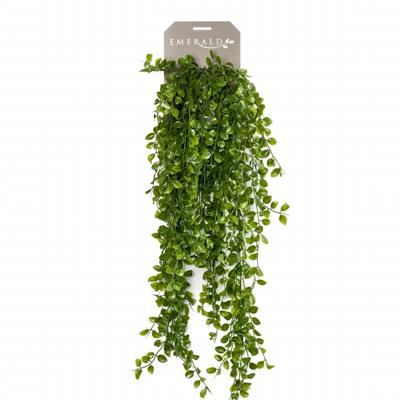 Zijdeplant Hangplant op steker Ficus Pumila kunstplant Driesprong Collection - Driesprong collection
