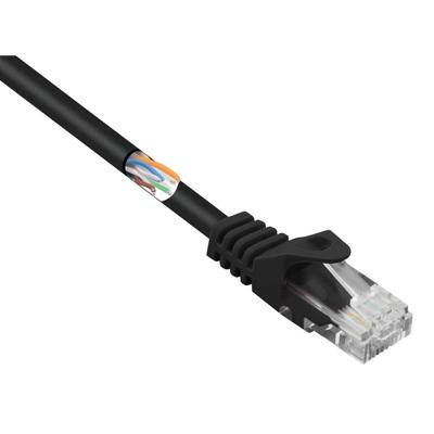 Renkforce RF-5043852 RJ45 Netwerkkabel, patchkabel CAT 5e U/UTP 0.25 m Zwart Snagless 1 stuk(s) Renkforce RF-5043852 RJ45 Netwerkkabel, patchkabel CAT 5e U/UTP 0.25 m Zwart Snagless 1 stuk(s)