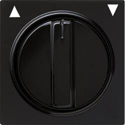 GIRA INZPL+DRAAIKNOP JAL ZW SC