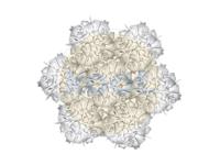 Slamp - Veli 7 Hanglamp - thumbnail