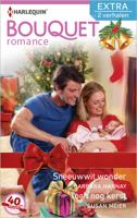 Sneeuwwit wonder ; Toch nog kerst - Barbara Hannay, Susan Meier - eBook (9789402515503) - thumbnail