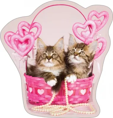 Katten Love sierkussen 35X40 cm Katten Love sierkussen 35X40 cm