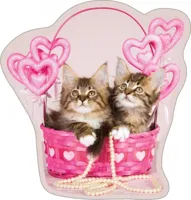 Katten Love sierkussen 35X40 cm - thumbnail