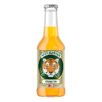 Naturfrisk ginger ale bio (12x 250ml) - thumbnail