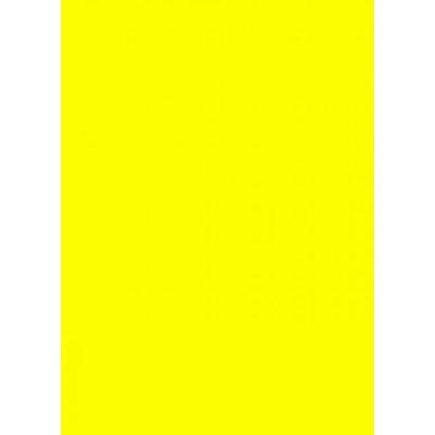 Prijskaart 6x8cm 100st. fluor geel