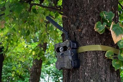 Technaxx TX-189 Wildcamera 4G beeldoverdracht, No Glow LEDs, Geluidsopnames Groen-bruin, Groen-zwart (fluorescerend) - thumbnail
