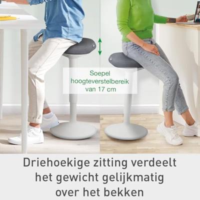 Leitz Stahulp Lichtgrijs 65450085