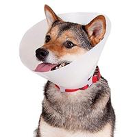 Lampenkap voor honden KVP Betsy Transparant (33-41 cm) - thumbnail