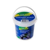 Hortensia Blauwmaker - thumbnail