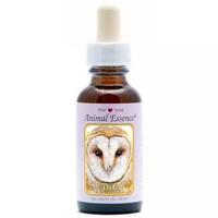 Animal Essences Owl (uil) 30 Milliliter - thumbnail