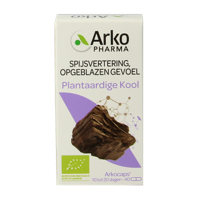 Plantaardige kool bio 40 Capsules - thumbnail