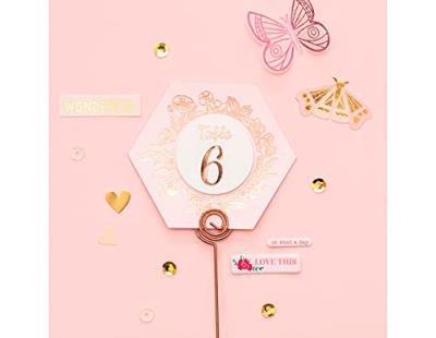 We R Makers • foil quill 30,5x243,8cm roll gold