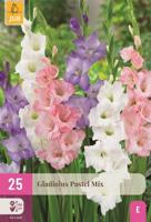 Bloembollen Gladiolus Pastel Mix 25st - thumbnail