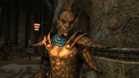 The Elder Scrolls V: Skyrim 10th Anniversary Edition - thumbnail