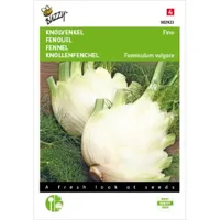 Venkel (Zefa) Fino - thumbnail