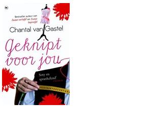 Geknipt voor jou - Chantal van Gastel - eBook (9789044329162)