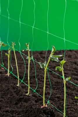 Nature klimnet voor planten groen 2x5 m 6030430