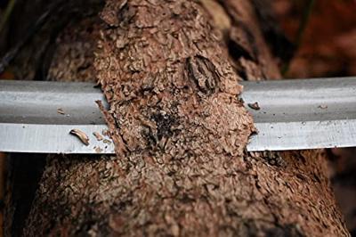 Kirschen 4000225 Trekmes