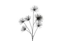 Kunstbloem Grevillea M zwart Countryfield - Countryfield - thumbnail