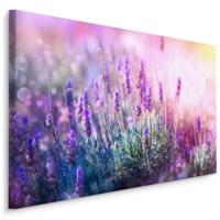 Schilderij - Bloeiende Lavendel, Paars, Premium Print - thumbnail