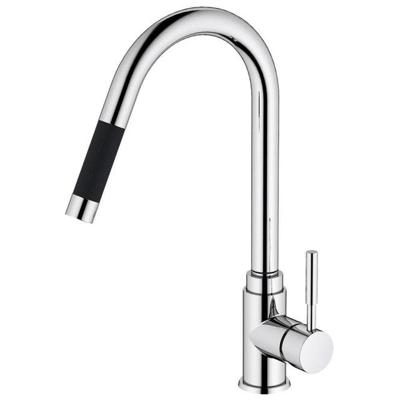 Bloom keukenkraan met met sproeikop