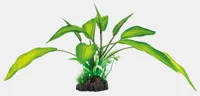 Art plant 25cm cryptocoryne - thumbnail