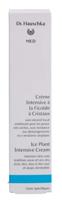 Dr. Hauschka Med Intensive Ice Plant Cream 50 ml - thumbnail