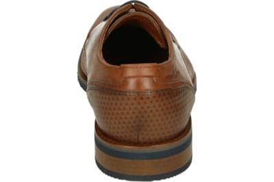 Van Lier 2518660 - alle