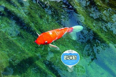 TFA Dostmann Marbella 30.3066.01 Zwembadthermometer Zwart - thumbnail