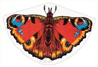 Günther Flugspiele Eenlijns Vlieger Pauwenoog Spanwijdte 920 mm Geschikt voor windsterkte 3 - 6 bft - thumbnail