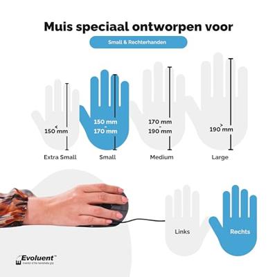 BakkerElkhuizen BNEEVRDS muis USB Rechtshandig