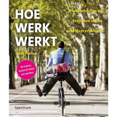 Hoe werk werkt (Paperback)