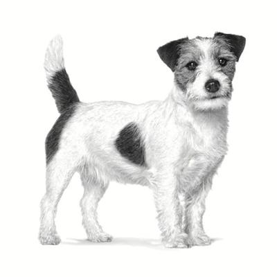 Royal Canin Gastrointestinal Low Fat kleine hond 1,5kg - thumbnail