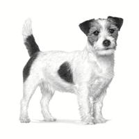ROYAL CANIN Gastrointestinal Low Fat Small VHN - droog hondenvoer - 1,5kg - thumbnail