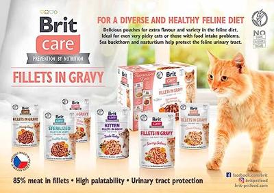 BRIT Care Filets in Gravy kalkoen en zalm in saus - nat kattenvoer - 85 g